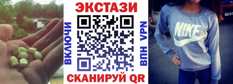 Купить закладки  Заводоуковск  Ecstasy диски 