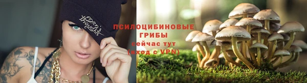 MESCALINE Дрезна