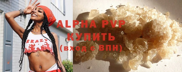 эйфоретик Покачи