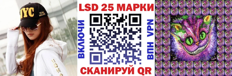 Купить закладки  Заводоуковск  Марки N-bome 1,8мг 