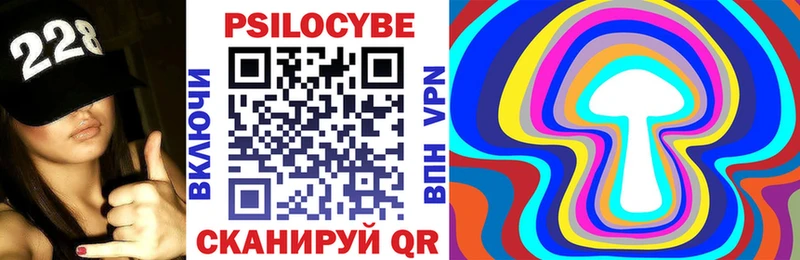 Купить где  Заводоуковск  Галлюциногенные грибы Psilocybe 